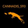 cannadis_593