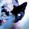 annacaty22