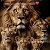 berenice_canul0