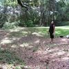 thebrownguy92