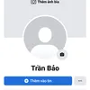 tranbao3232