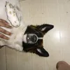 assfiaaannn