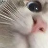 cristaljane75