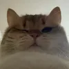 ghostcailonn