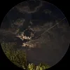 toriiii_2
