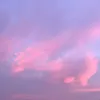 __.pato_._