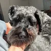 rubypicks