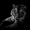abbas7_25