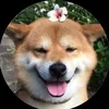 nhincaidaubuoimemy