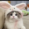 mugirahayulestari_139