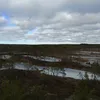peatamatu