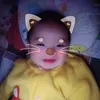 huy.an8386