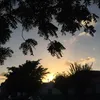 robeertfrrm