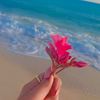 user63026182
