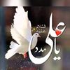 sharjel49