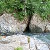 richardcarrion11