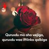 hajirey55