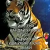 user26821718