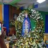 lupitatrujillo660