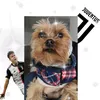 juvepersempre48