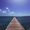 danieldavid224