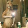 xxjybzxx