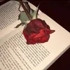 hanoo_732