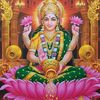 chintan044
