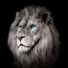 fabiorsilva8