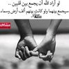 husseinelwakeel