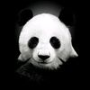pandavicii