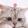 adrianacastro817