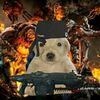 sarlokenmc