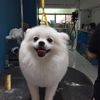 mike006220