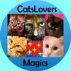 magic_cats_3