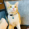 banh_kem123
