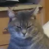 krisztianbiz