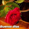 sabio16