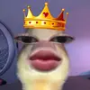 vinanpna