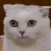 tiktokname112