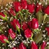 ahmet.g7