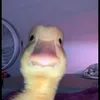ngannxinhyeuu