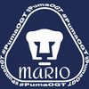marionicacique
