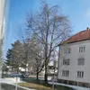 lucaderalbaner03