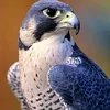 user914914047
