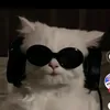 zhyl0ng11