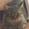 sossoloio2