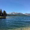 dro_81