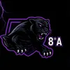 the panthers 💜🖤