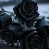 shadow_moon_666